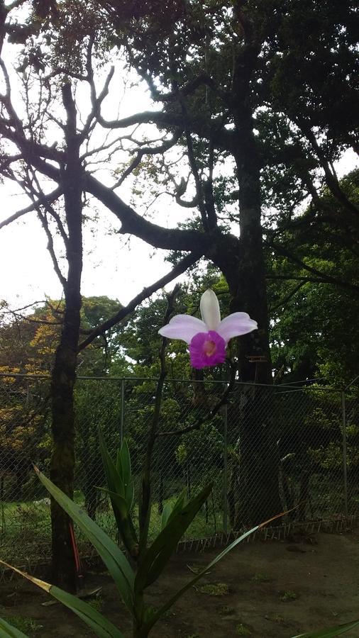 Nature House Monteverde Ngoại thất bức ảnh